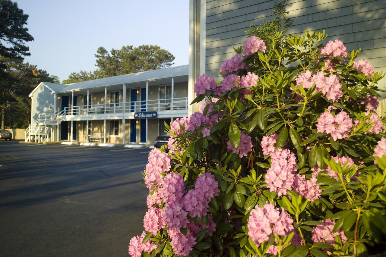 Southfleet Motor Inn Wellfleet Buitenkant foto
